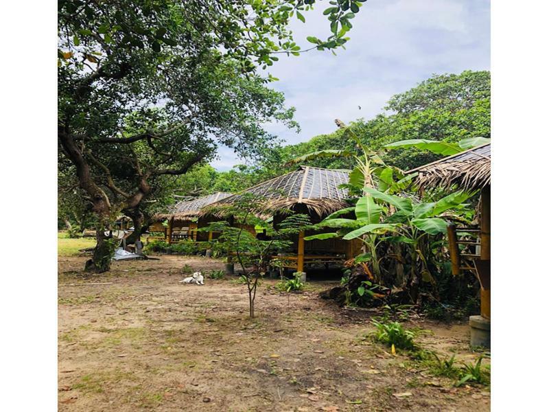 Chalee Tropicana Bungalow เกาะพยาม ภายนอก รูปภาพ